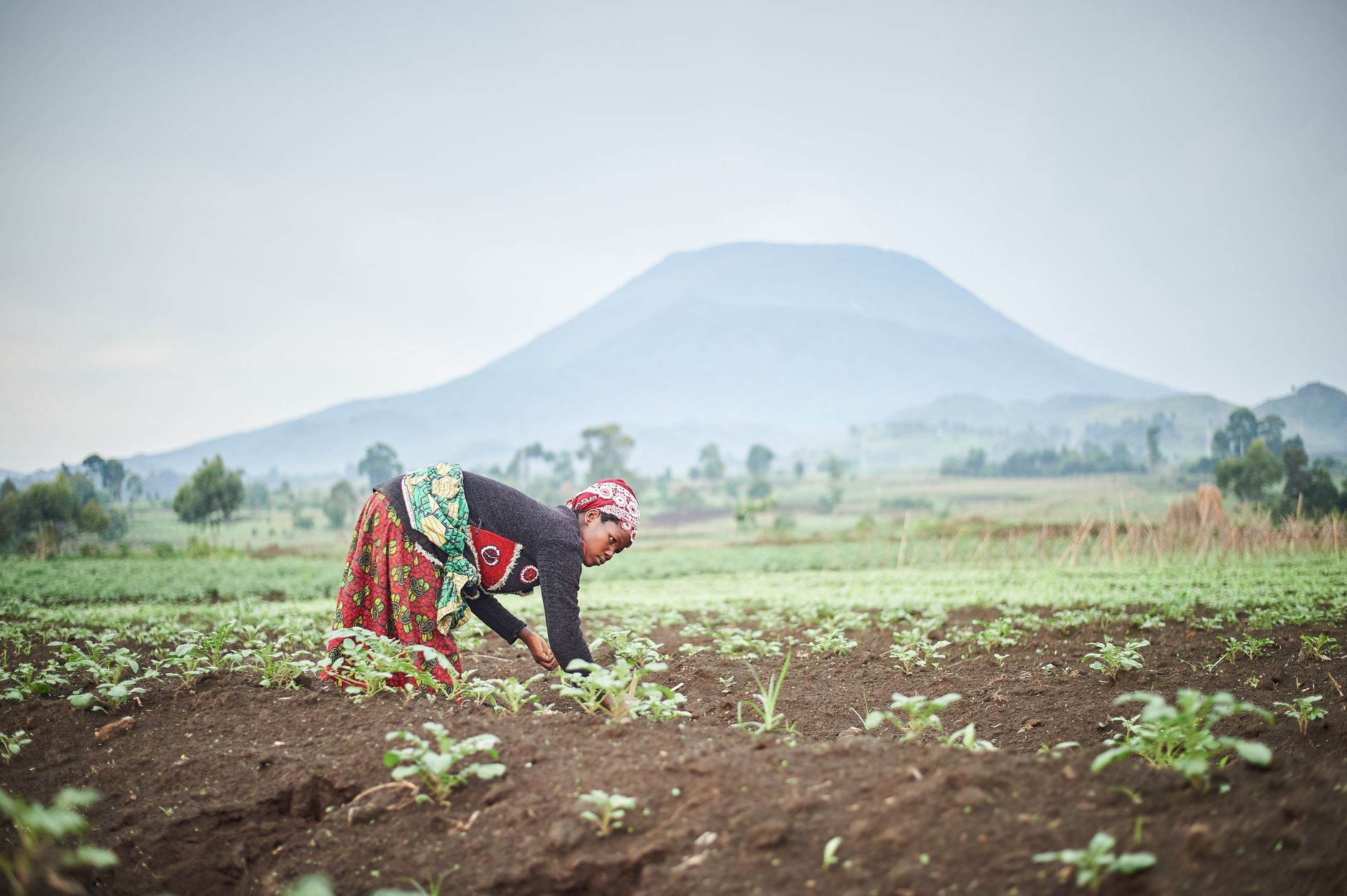 EU’s ‘Technical Zero’ Pesticide Rule Puts African Farm Exports on the ...